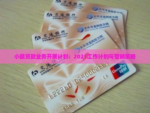 小额贷款业务开展计划