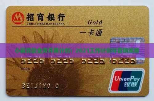 小额贷款业务开展计划