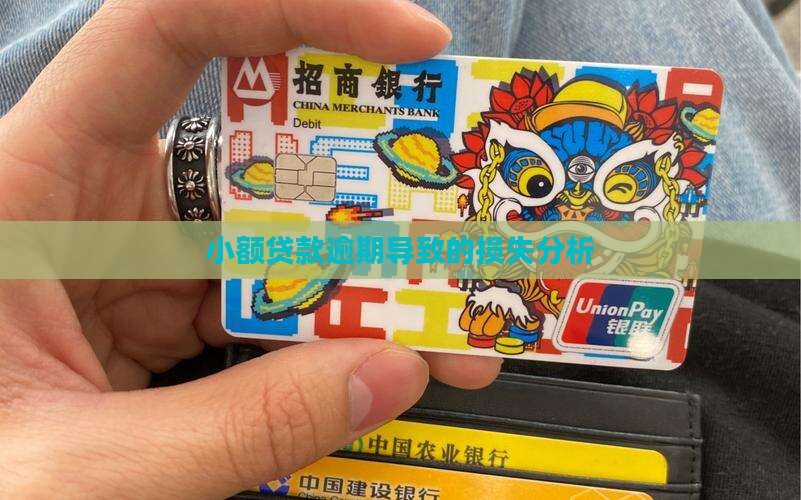 就业局小额贷款逾期损失