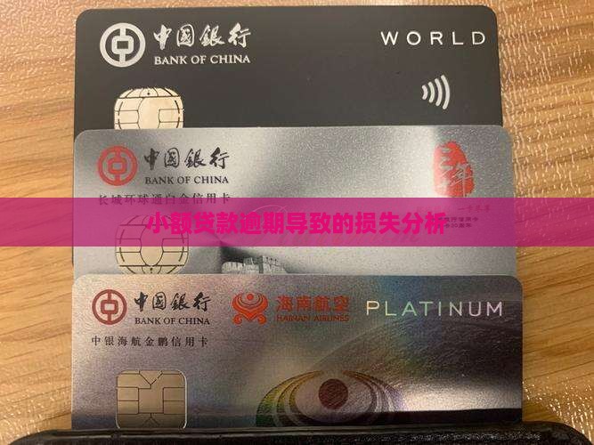 就业局小额贷款逾期损失