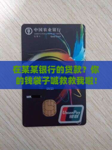 在某某银行的贷款