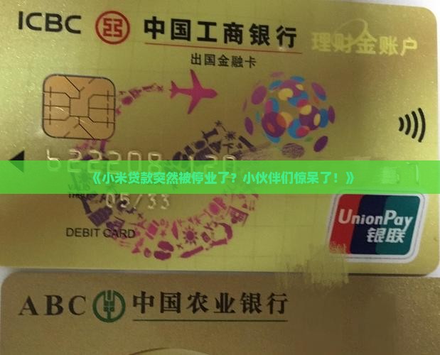 小米贷款被停业没有