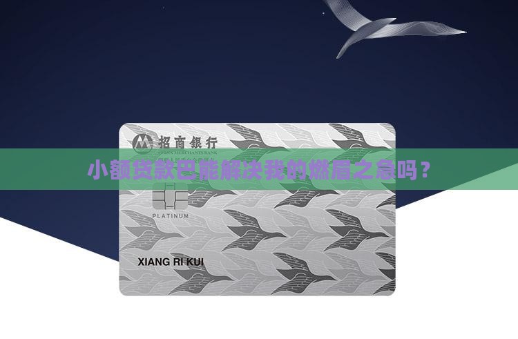 小额贷款巴