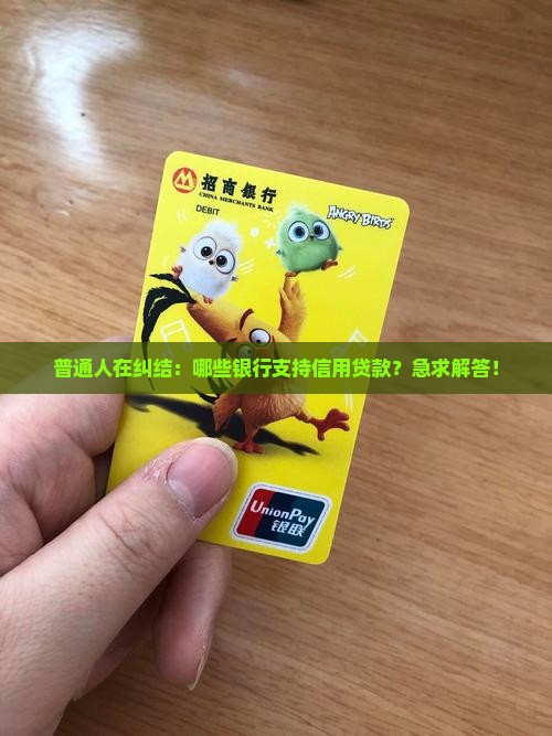 哪些银行支持信用类贷款