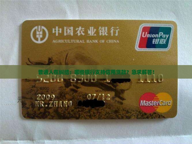 哪些银行支持信用类贷款