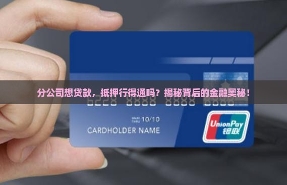 分公司能抵押贷款嘛