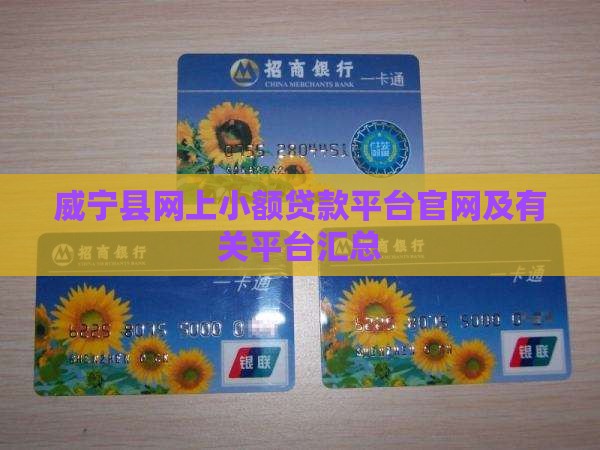 威宁县网上小额贷款平台