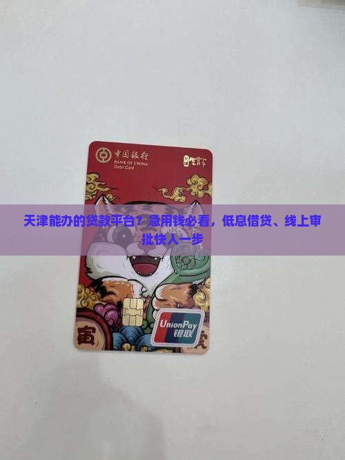 天津能办的贷款平台