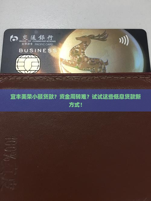 宜丰美荣小额贷款