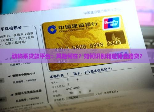 动物系的贷款平台