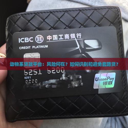 动物系的贷款平台