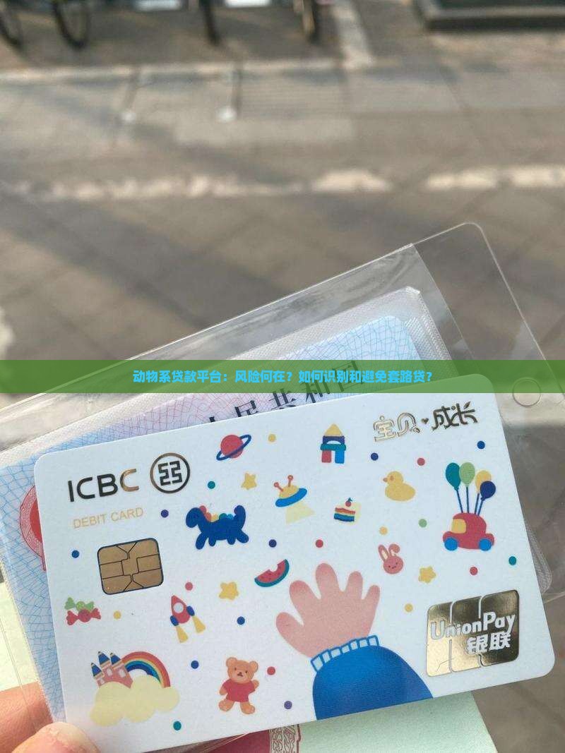动物系的贷款平台