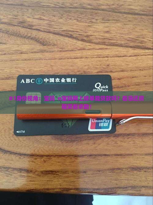在网上接单可以贷款吗 在网上接单可以贷款吗