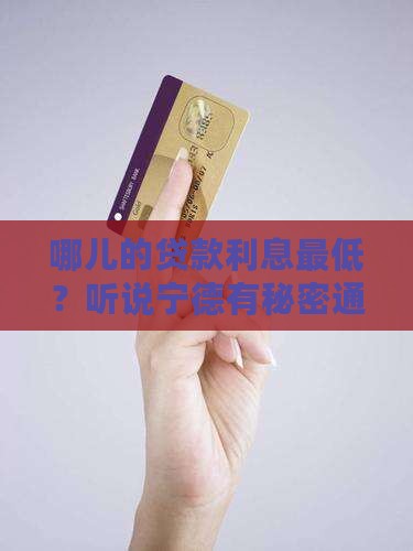 宁德贷款最便宜的平台