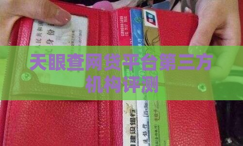 天眼合作贷款平台怎么样