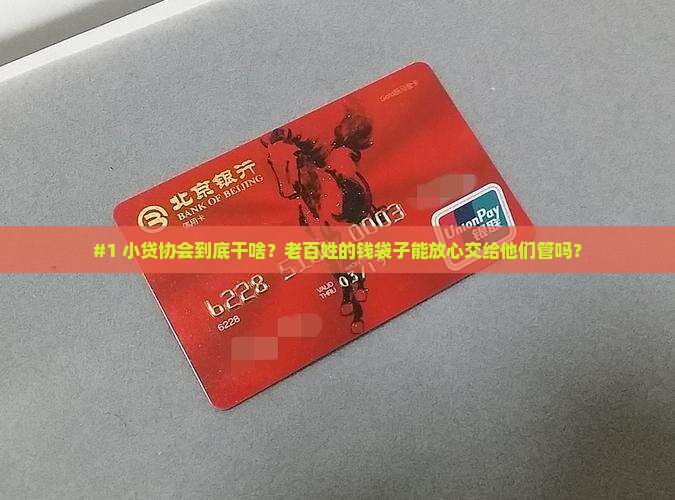 小额贷款协会干嘛的啊 小额贷款协会干嘛的啊