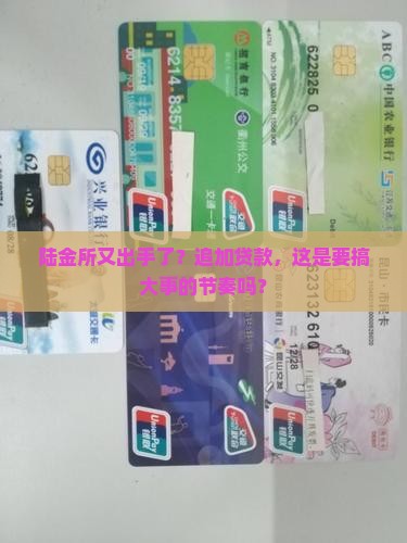 平安陆金所追加贷款