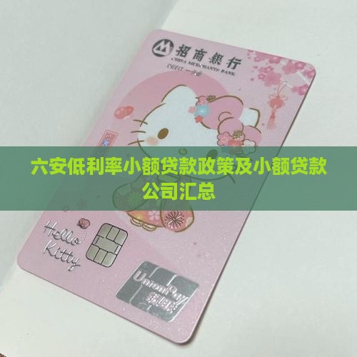 六安低利率小额贷款政策