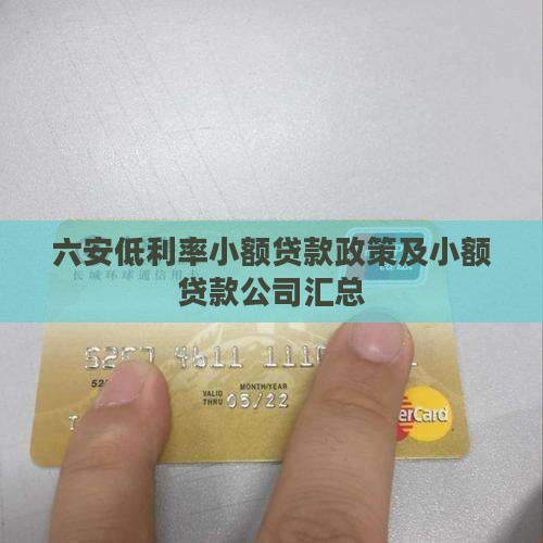 六安低利率小额贷款政策