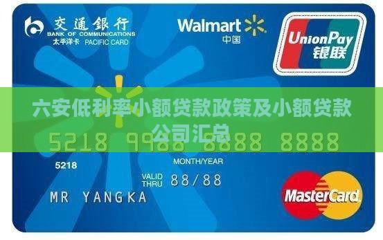 六安低利率小额贷款政策