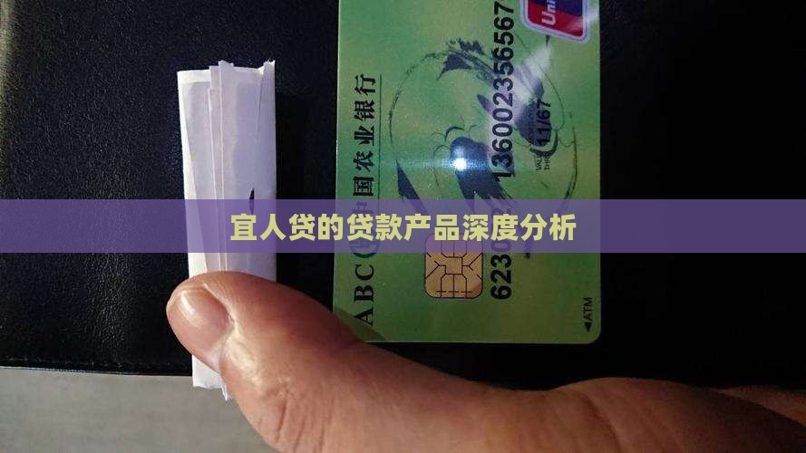 宜人贷长期贷款分析