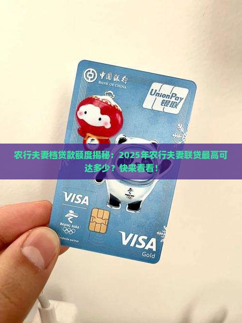 农行两口子贷款能贷多少