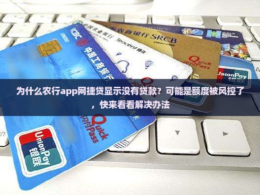 农行app网捷贷显示没有贷款