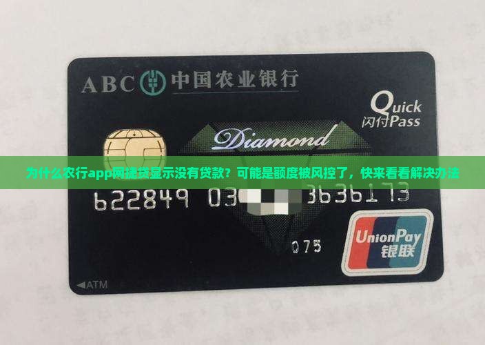 农行app网捷贷显示没有贷款