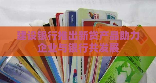 建设银行专精特新贷款