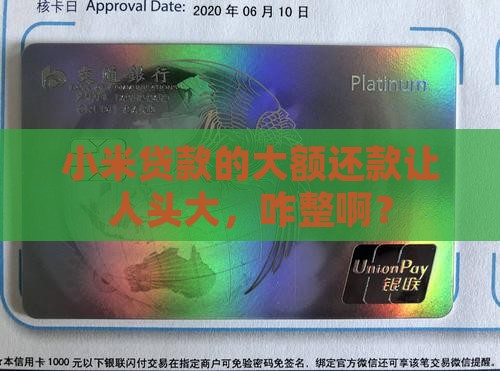 小米贷款大额怎么还