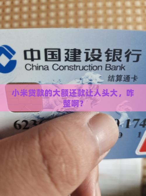 小米贷款大额怎么还