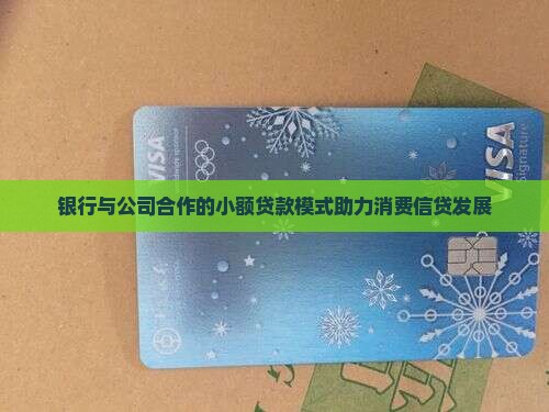 小额贷款模式