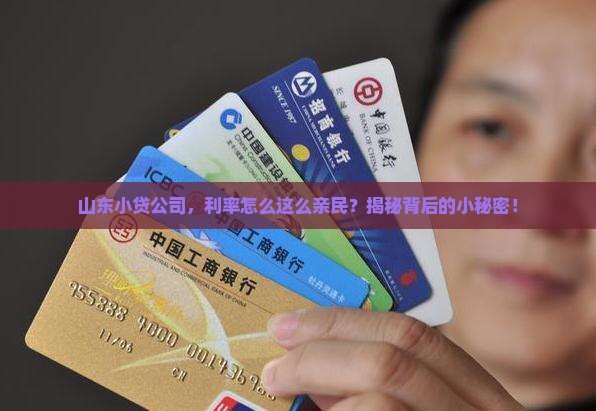 山东小贷公司贷款利率