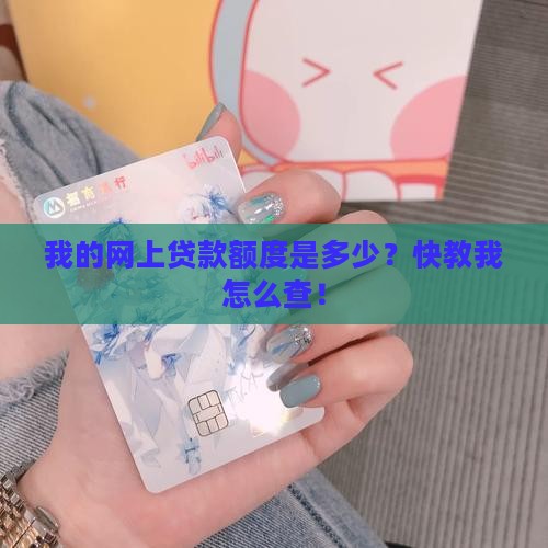 如何查自己网上贷款额度
