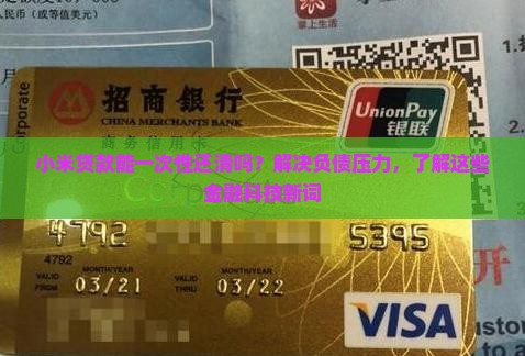 小米贷款能一次性