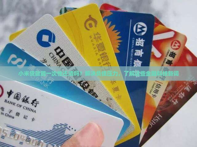 小米贷款能一次性