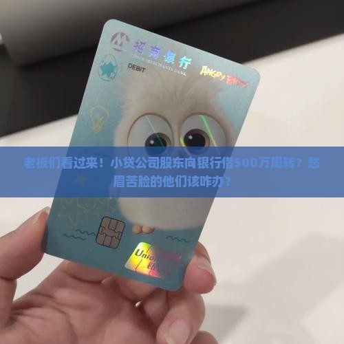 小贷公司股东银行贷款