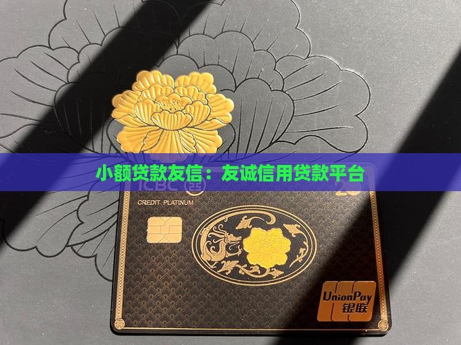 小额贷款友信