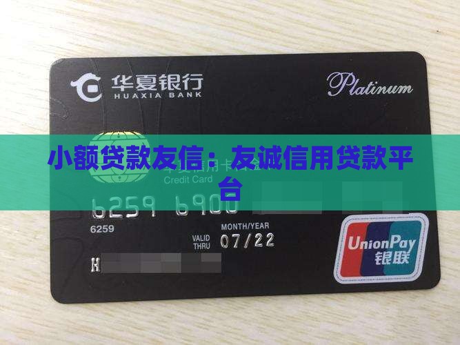 小额贷款友信