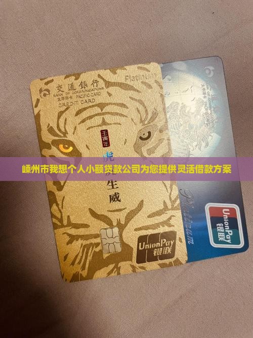 嵊州市我想个人小额贷款