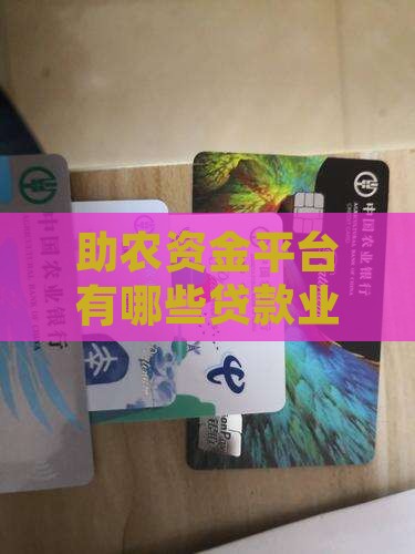 助农资金平台有哪些贷款