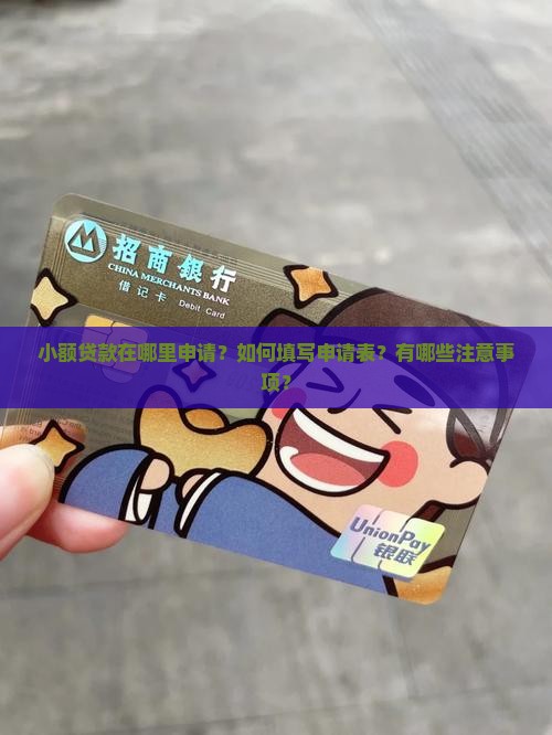 小额贷款在哪里填写