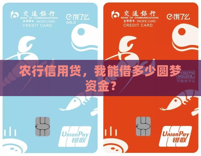 农行信用贷款可贷多少钱 农行信用贷款可贷多少钱