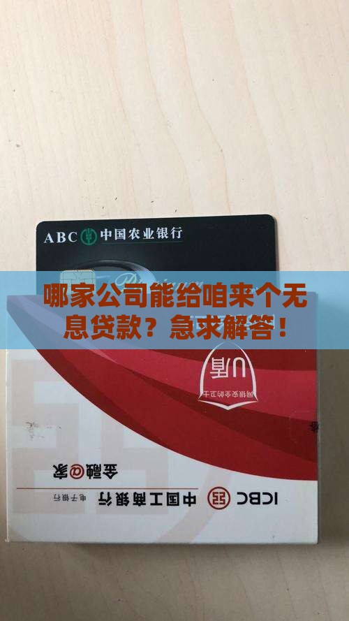 哪些公司可以无息贷款