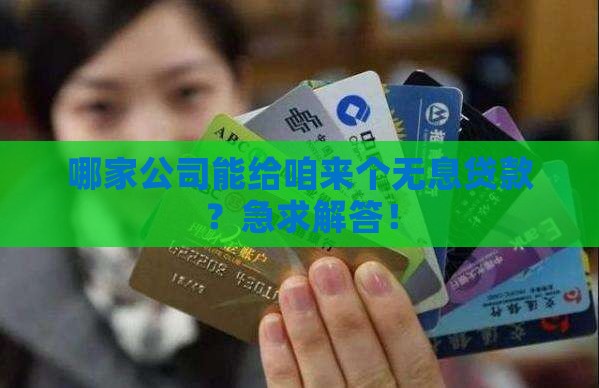 哪些公司可以无息贷款