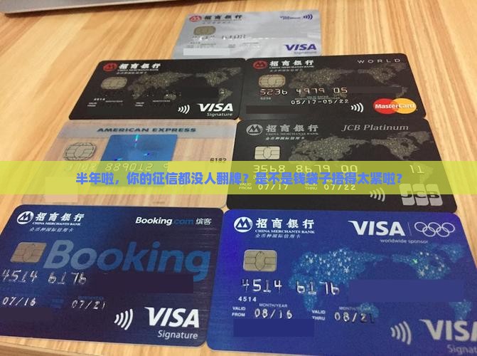 半年内征信没查过贷款
