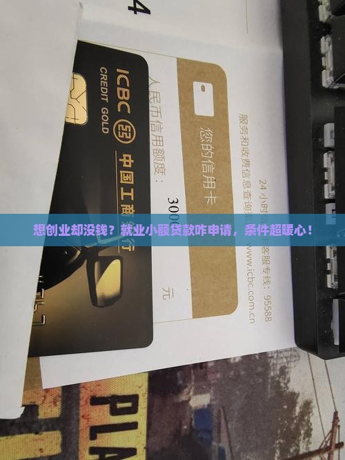 就业小额贷款条件