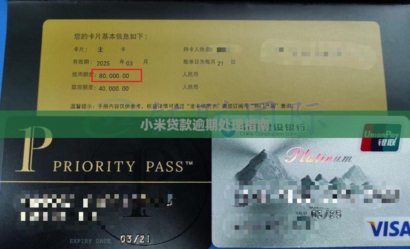 小米贷款逾期执行