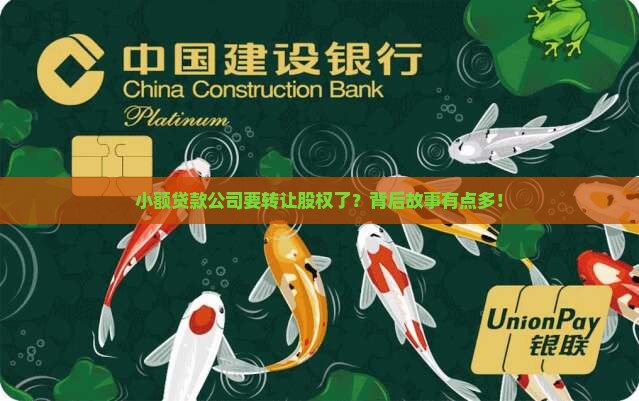 小额贷款转让公司股权