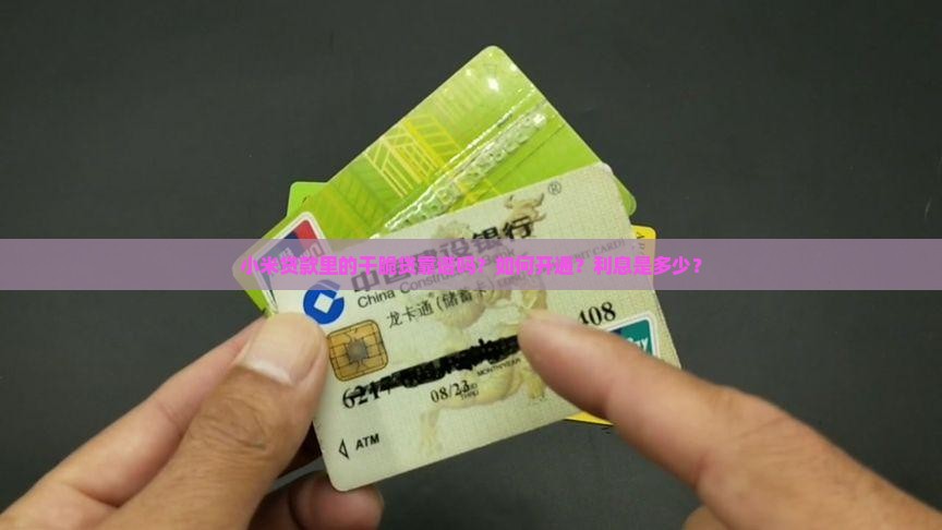 小米贷款里的干脆贷